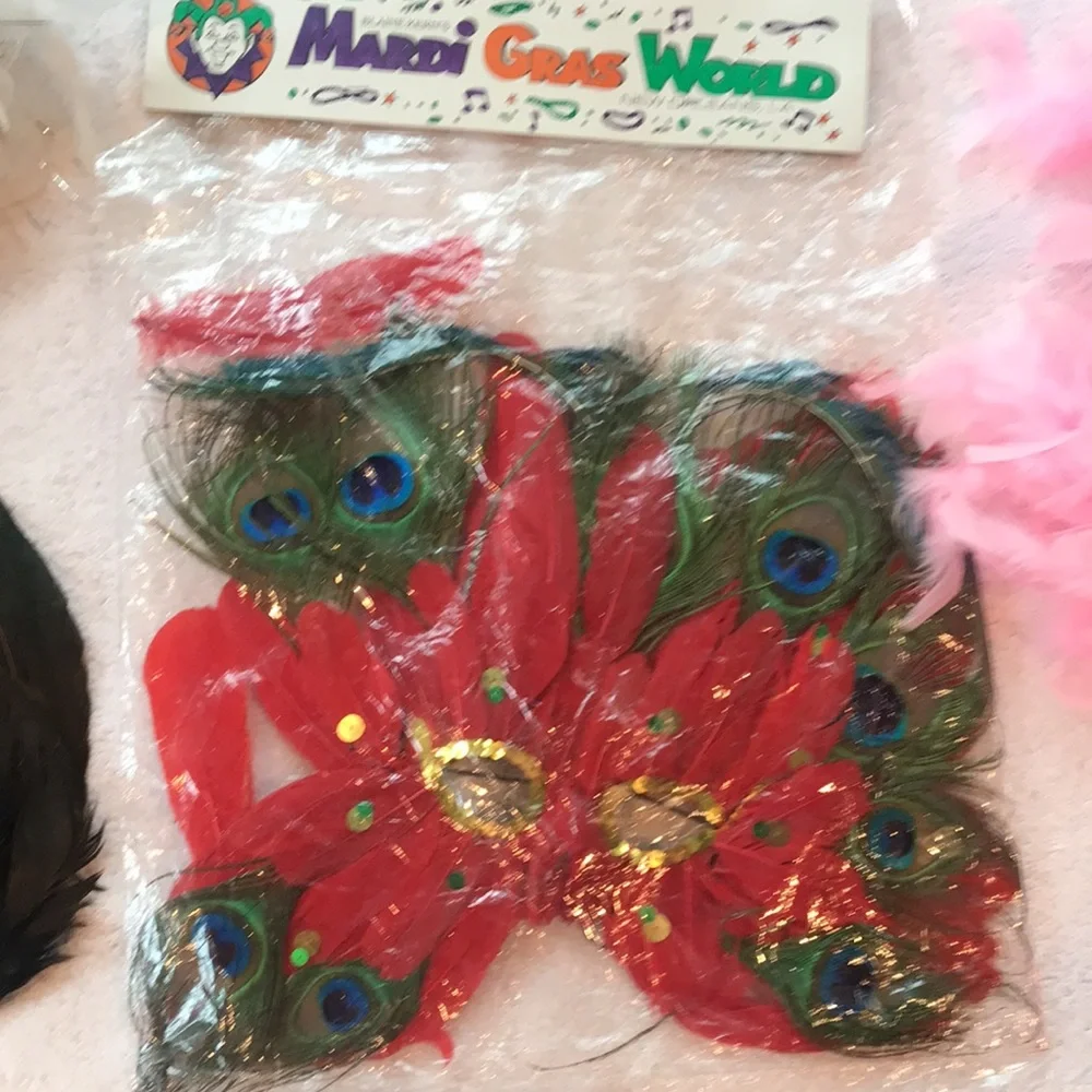 Mardi Gras Masks & Boas Bundle